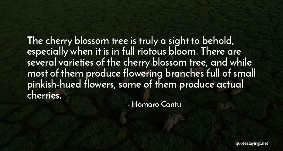 Mpathy Hingham Quotes By Homaro Cantu Mpathy Hingham Quotes By Homaro Cantu