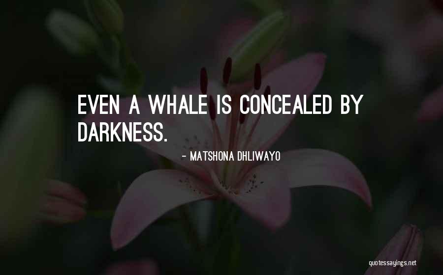 Mpcareer Quotes By Matshona Dhliwayo Mpcareer Quotes By Matshona Dhliwayo