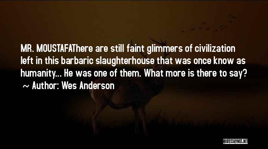 Mr Anderson Quotes By Wes Anderson