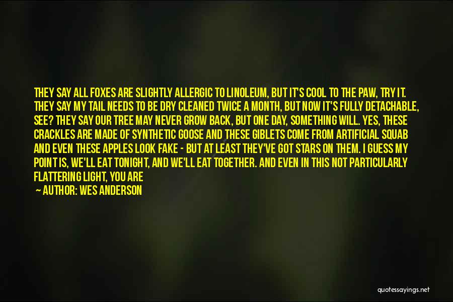 Mr Anderson Quotes By Wes Anderson