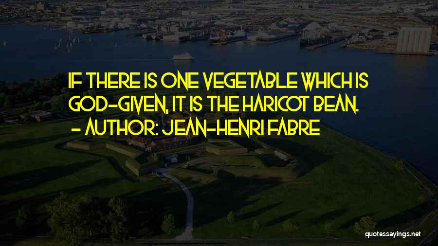 Mr Bean's Quotes By Jean-Henri Fabre