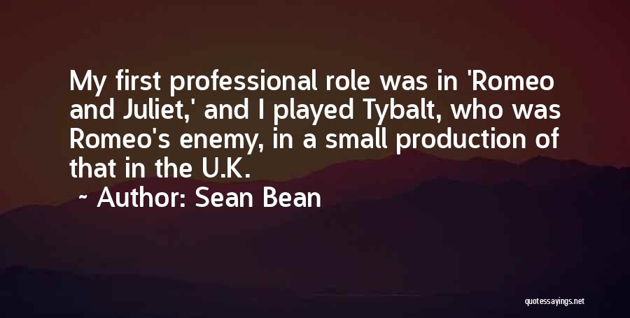 Mr Bean's Quotes By Sean Bean