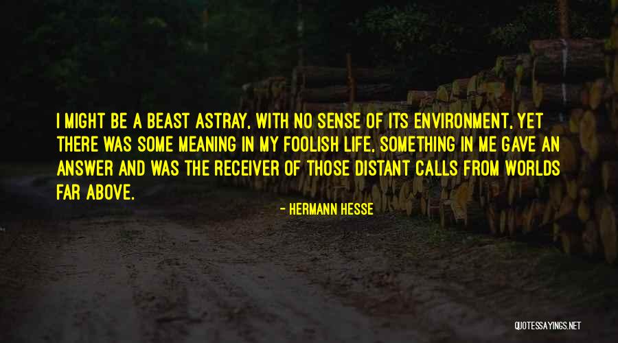 Mr Beast Inspirational Quotes By Hermann Hesse Mr Beast Inspirational Quotes By Hermann Hesse