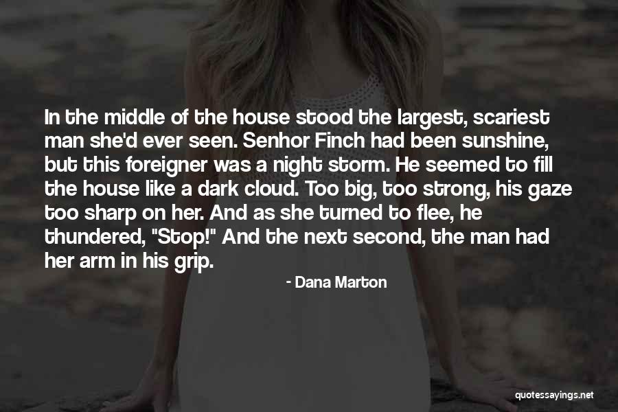 Mr Big Romantic Quotes By Dana Marton