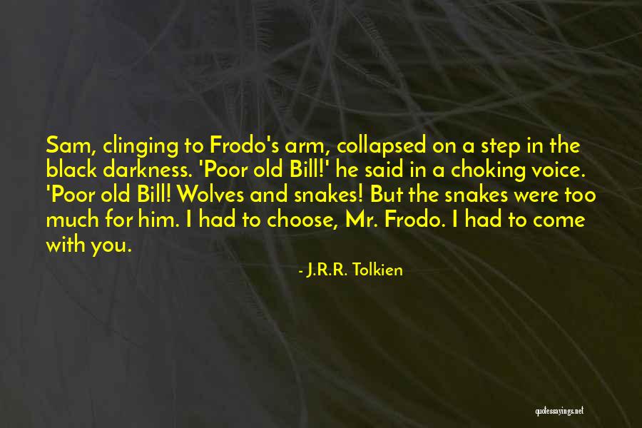 Mr Bill Quotes By J.R.R. Tolkien Mr Bill Quotes By J.R.R. Tolkien