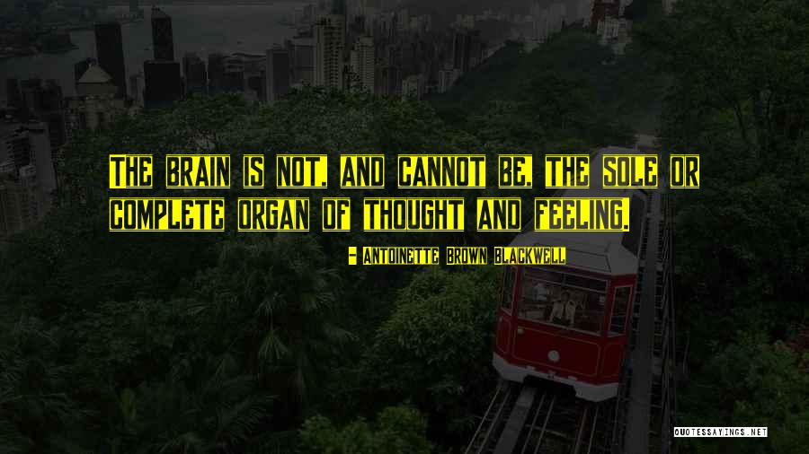 Mr Blackwell Quotes By Antoinette Brown Blackwell