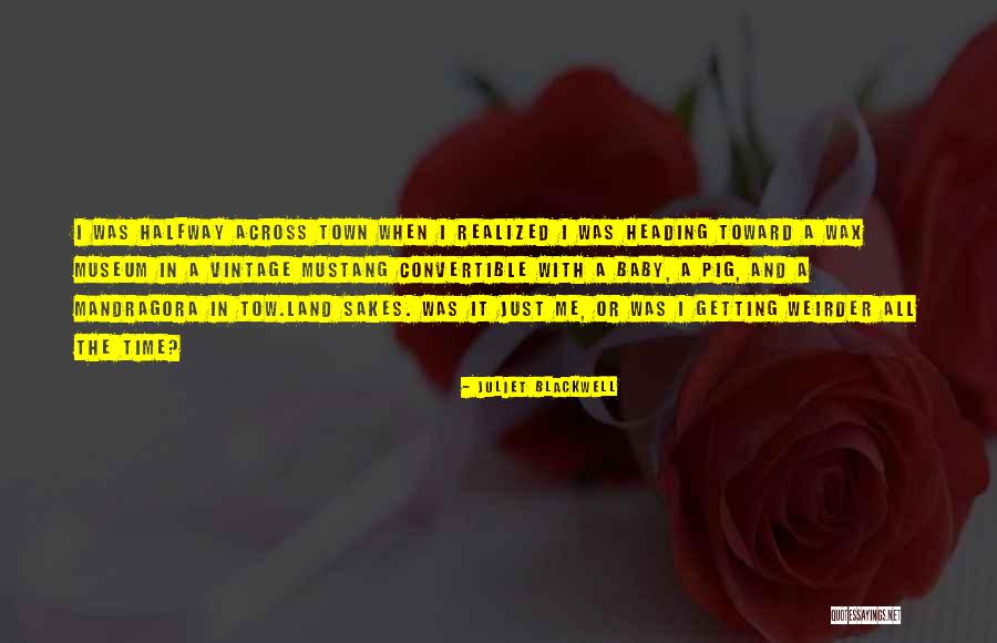 Mr Blackwell Quotes By Juliet Blackwell