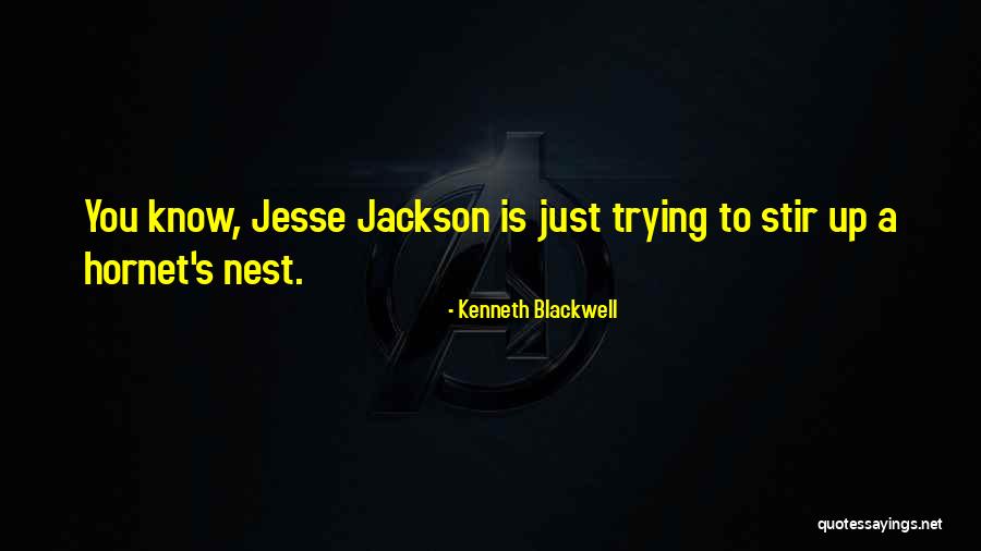Mr Blackwell Quotes By Kenneth Blackwell