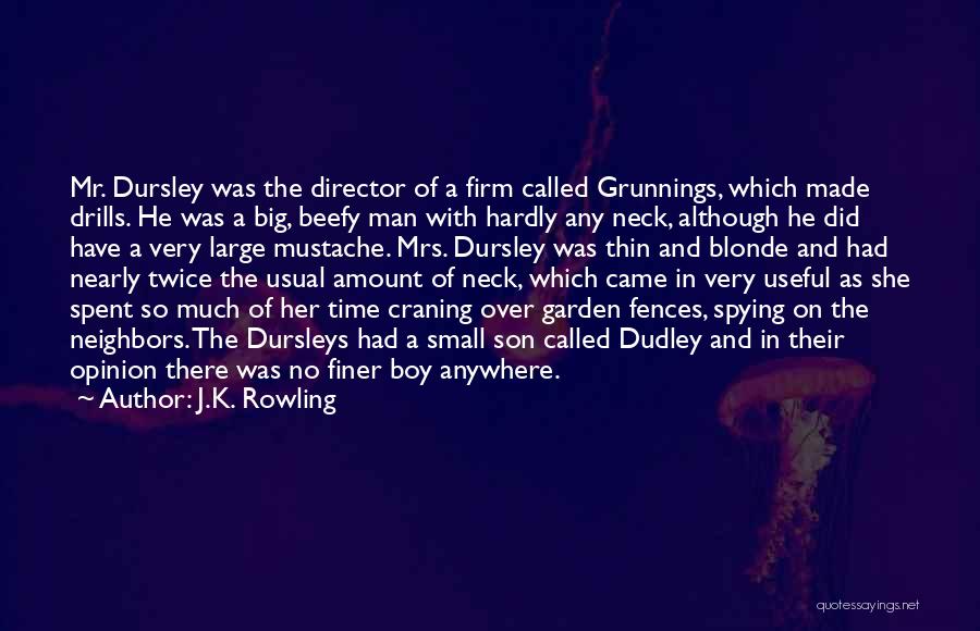 Mr Blonde Quotes By J.K. Rowling