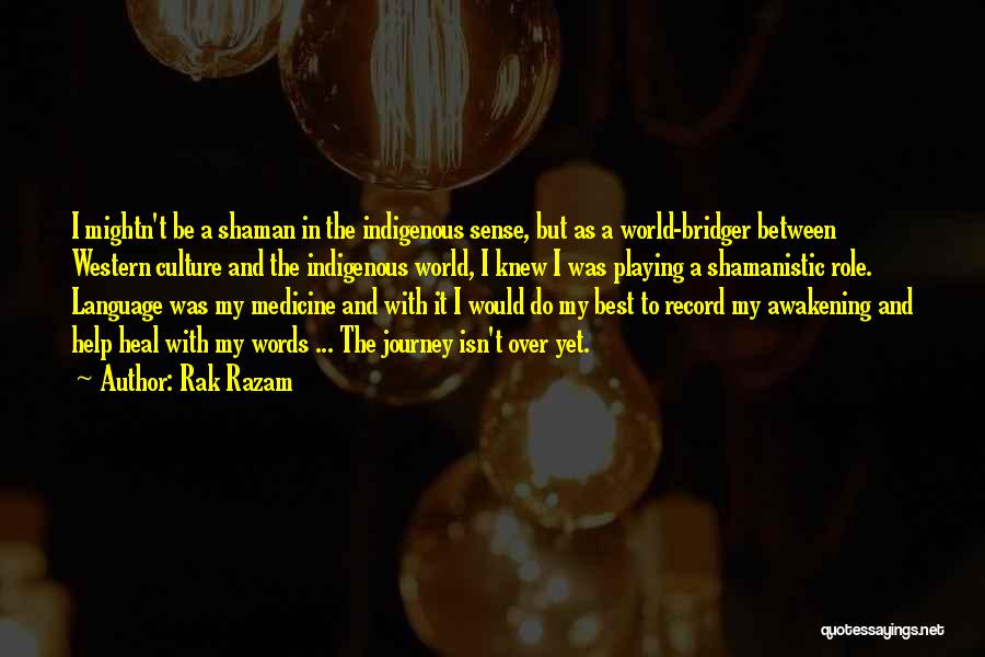 Mr Bridger Quotes By Rak Razam