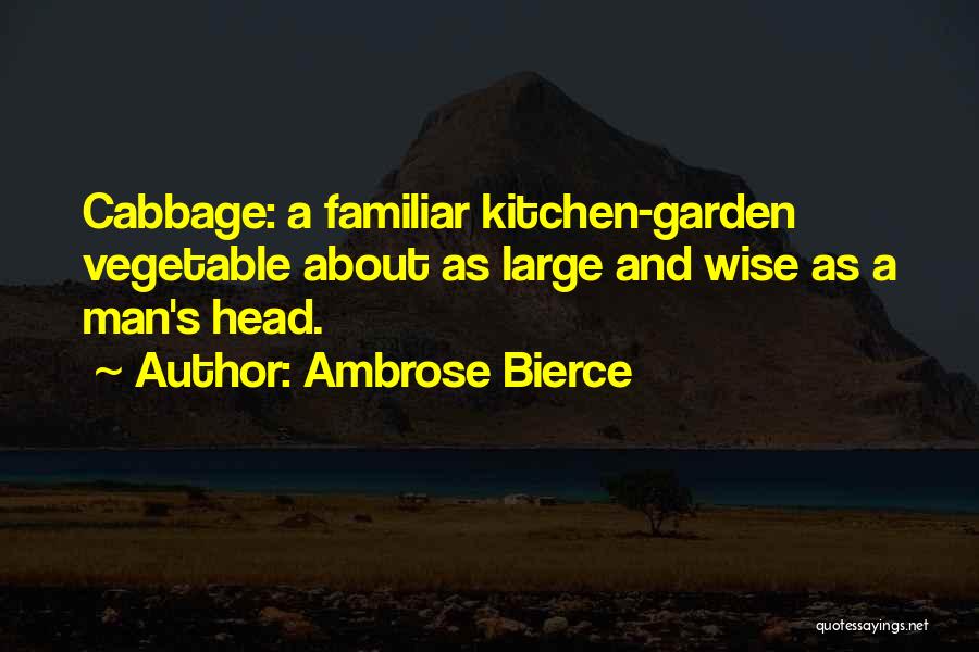 Mr Cabbage Head Quotes By Ambrose Bierce