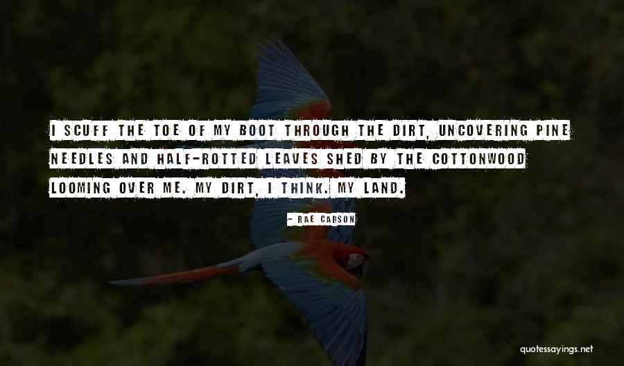 Mr Carson Quotes By Rae Carson
