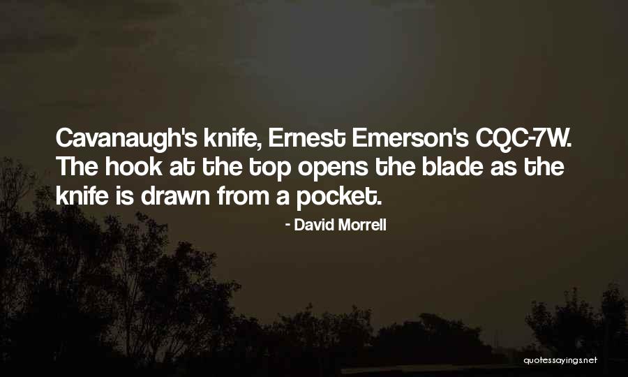 Mr Cavanaugh Quotes By David Morrell Mr Cavanaugh Quotes By David Morrell
