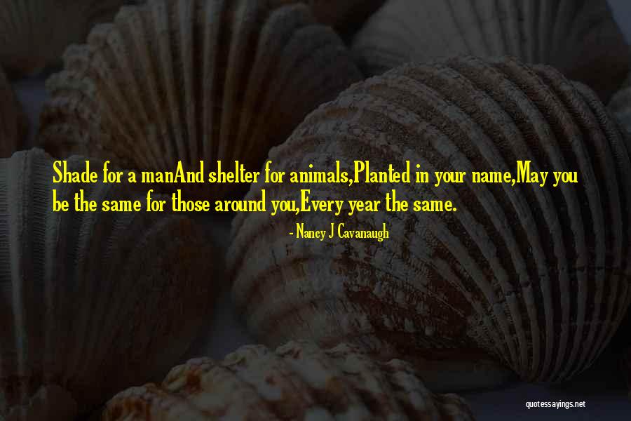 Mr Cavanaugh Quotes By Nancy J Cavanaugh Mr Cavanaugh Quotes By Nancy J Cavanaugh