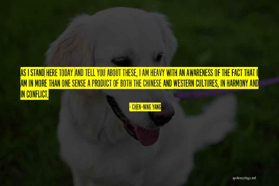 Mr Chen Quotes By Chen-Ning Yang Mr Chen Quotes By Chen-Ning Yang