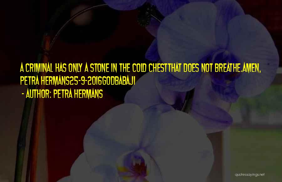 Mr Criminal Quotes By Petra Hermans