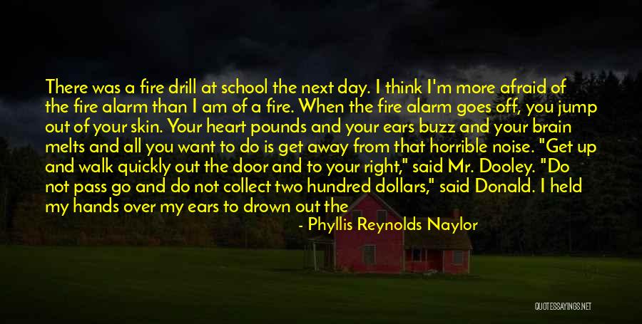 Mr D Quotes By Phyllis Reynolds Naylor Mr D Quotes By Phyllis Reynolds Naylor