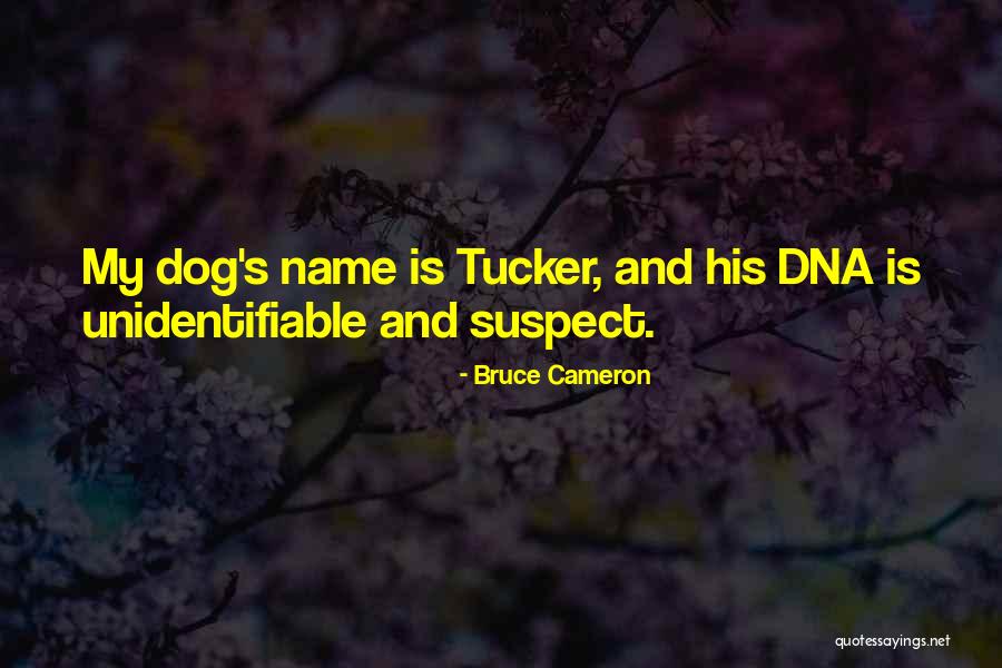 Mr Dna Quotes By Bruce Cameron