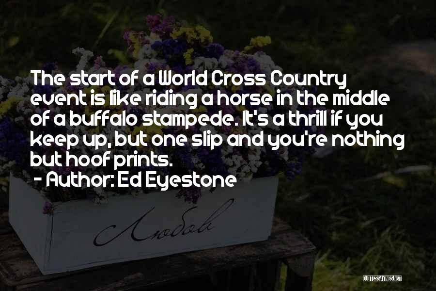 Mr Ed The Horse Quotes By Ed Eyestone
