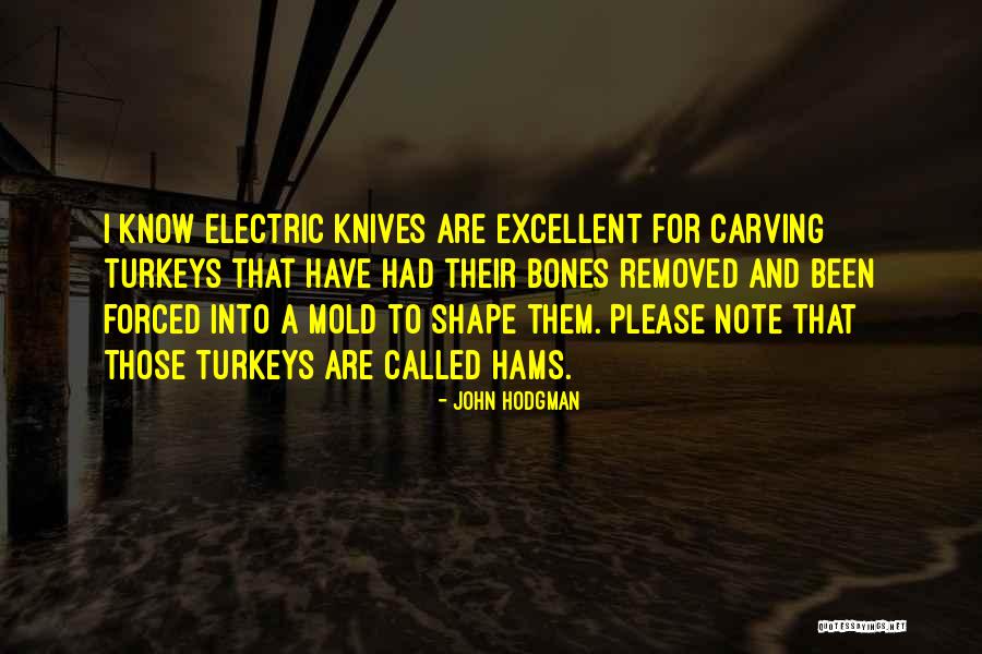 Mr Electric Quotes By John Hodgman