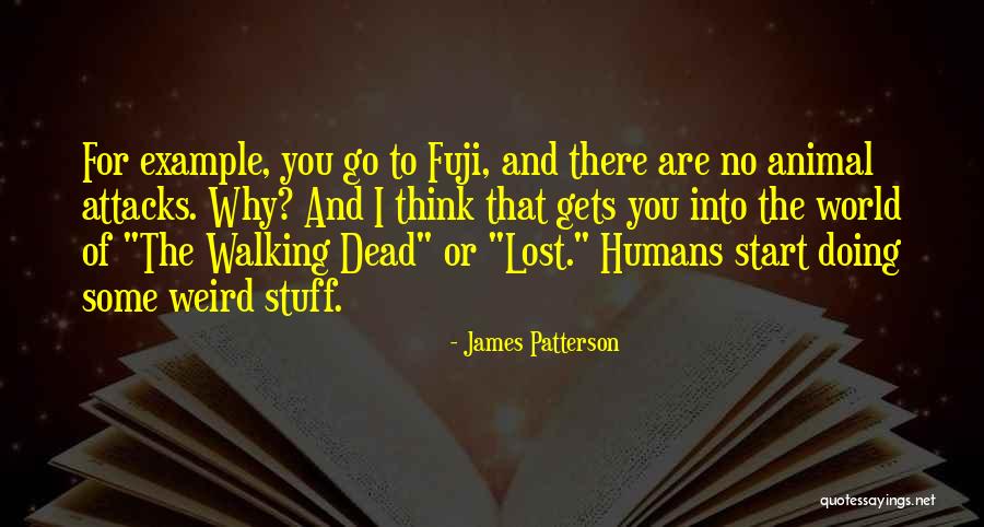 Mr Fuji Quotes By James Patterson