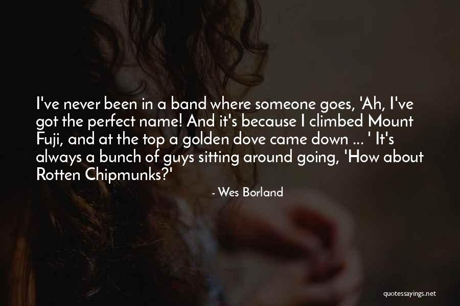 Mr Fuji Quotes By Wes Borland