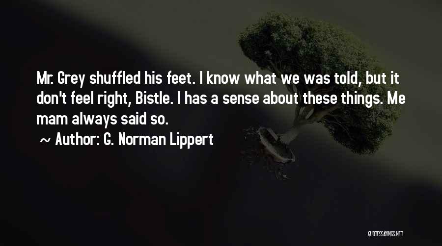 Mr G Quotes By G. Norman Lippert