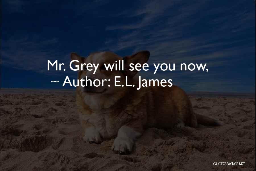 Mr Grey Quotes By E.L. James