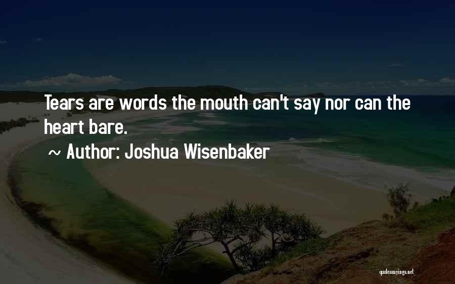 Mr Joshua Quotes By Joshua Wisenbaker