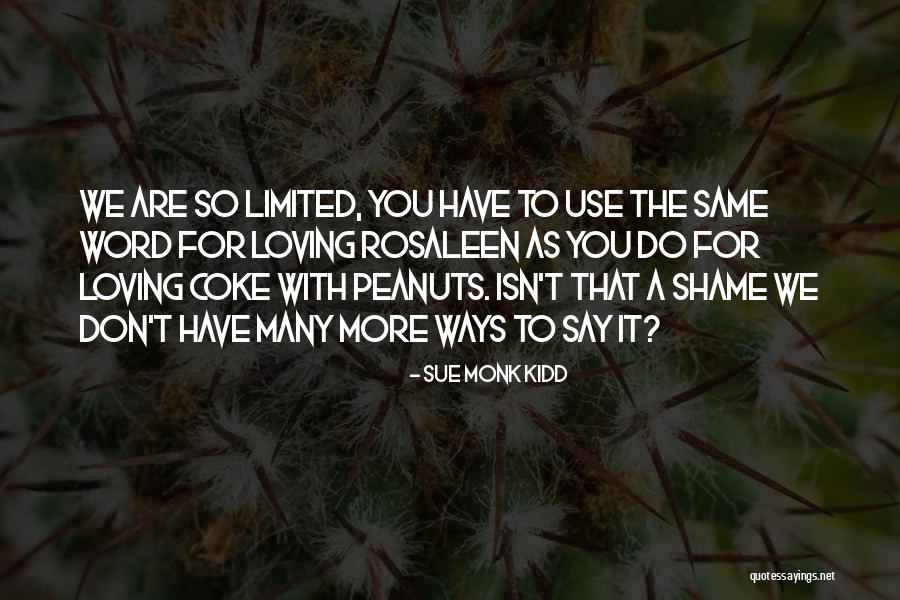 Mr Kidd Quotes By Sue Monk Kidd