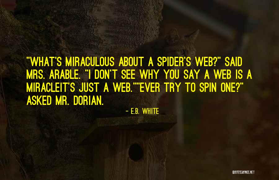 Mr.kupido Quotes By E.B. White