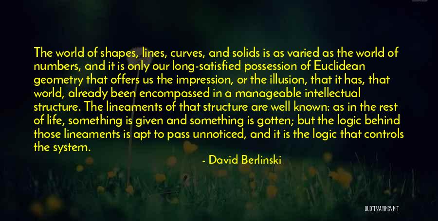 Mr Logic Viz Quotes By David Berlinski