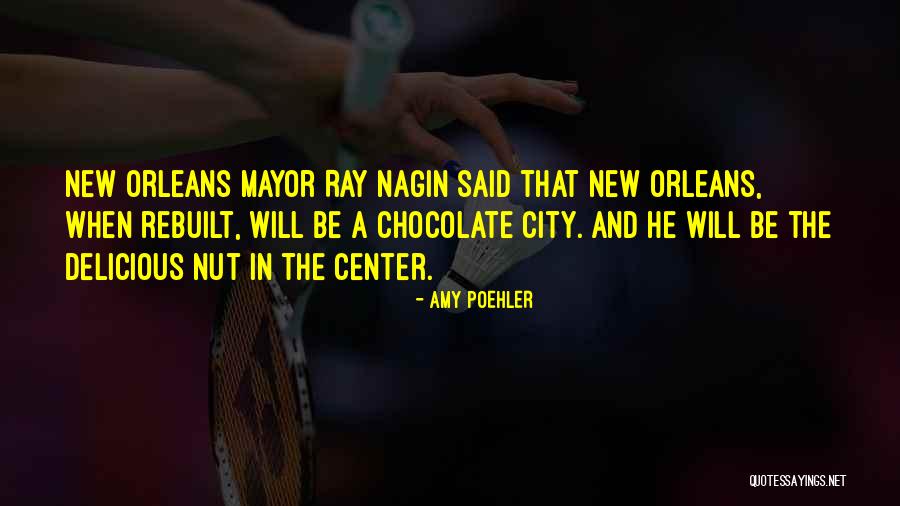 Mr Mayor Quotes By Amy Poehler Mr Mayor Quotes By Amy Poehler