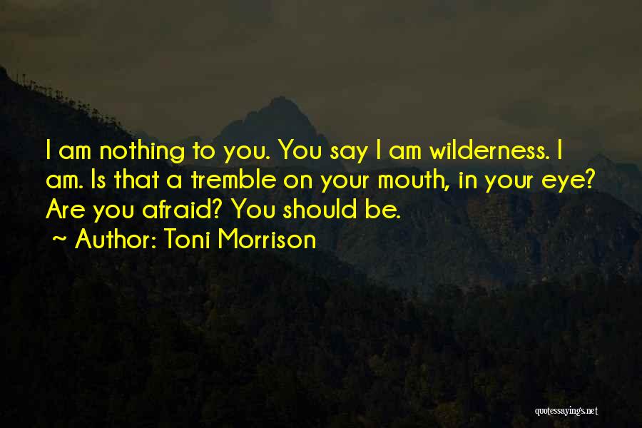 Mr Morrison Quotes By Toni Morrison