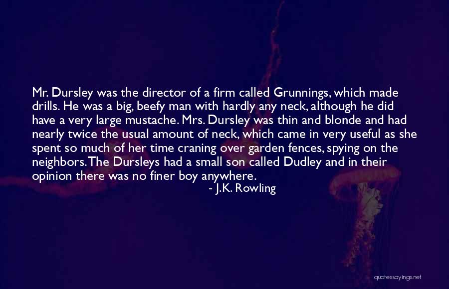 Mr. Neck Quotes By J.K. Rowling