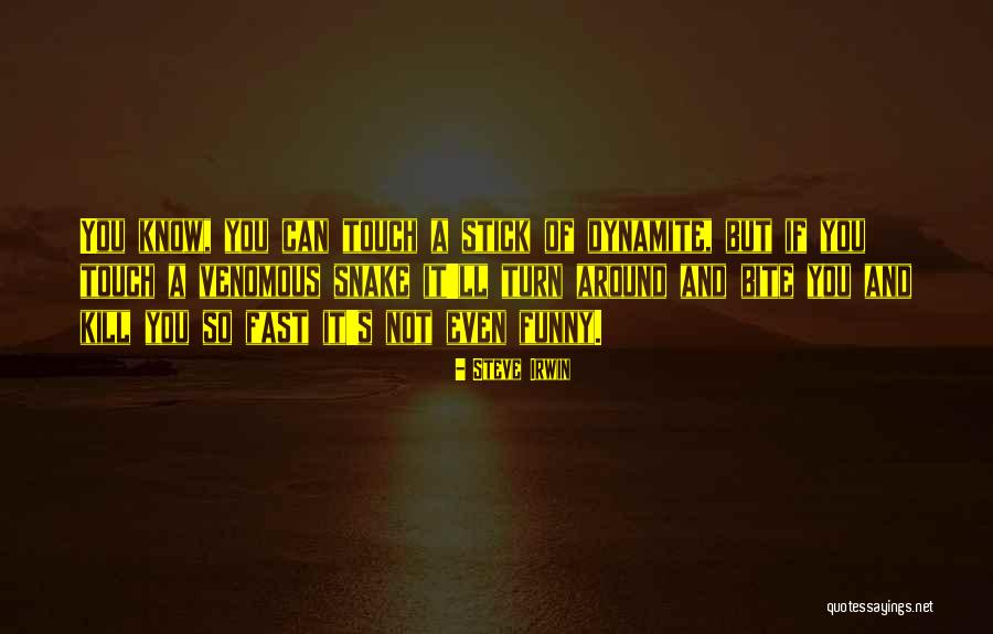 Mr Nja Prema Idovima Quotes By Steve Irwin Mr Nja Prema Idovima Quotes By Steve Irwin