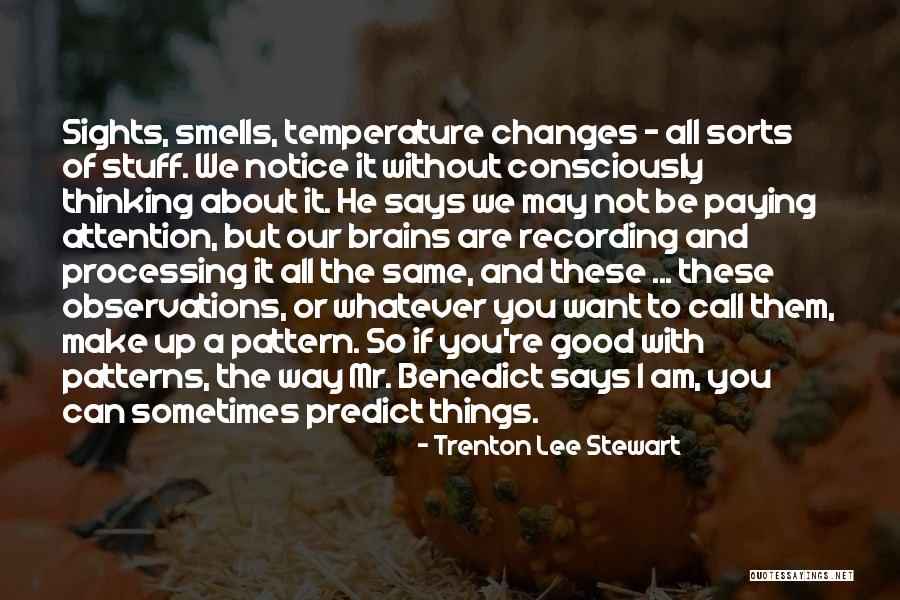 Mr Patterns Quotes By Trenton Lee Stewart