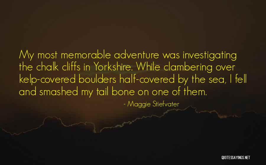 Mr Perfect Wwf Quotes By Maggie Stiefvater Mr Perfect Wwf Quotes By Maggie Stiefvater