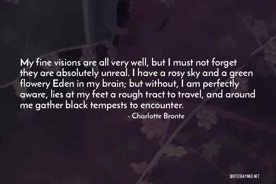 Mr Perfectly Fine Quotes By Charlotte Bronte Mr Perfectly Fine Quotes By Charlotte Bronte