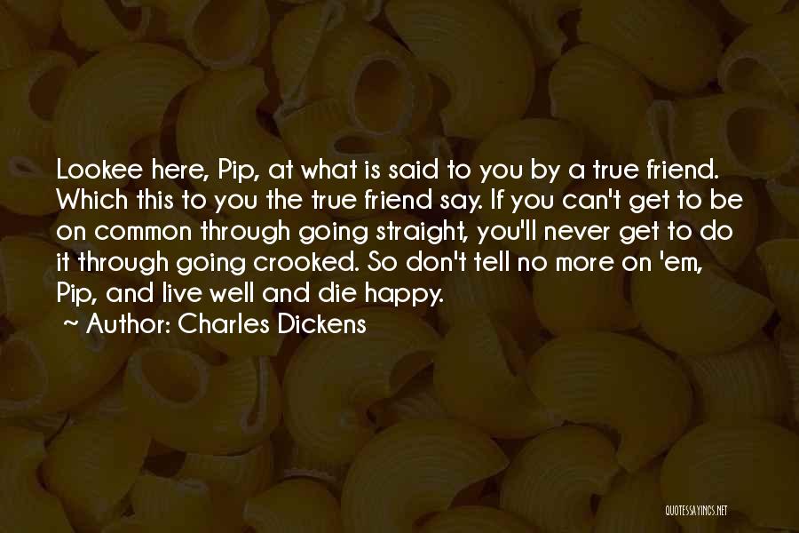 Mr Pip Quotes By Charles Dickens