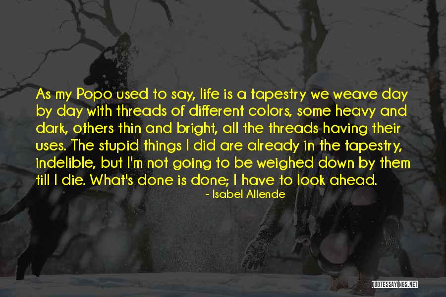 Mr Popo Quotes By Isabel Allende Mr Popo Quotes By Isabel Allende