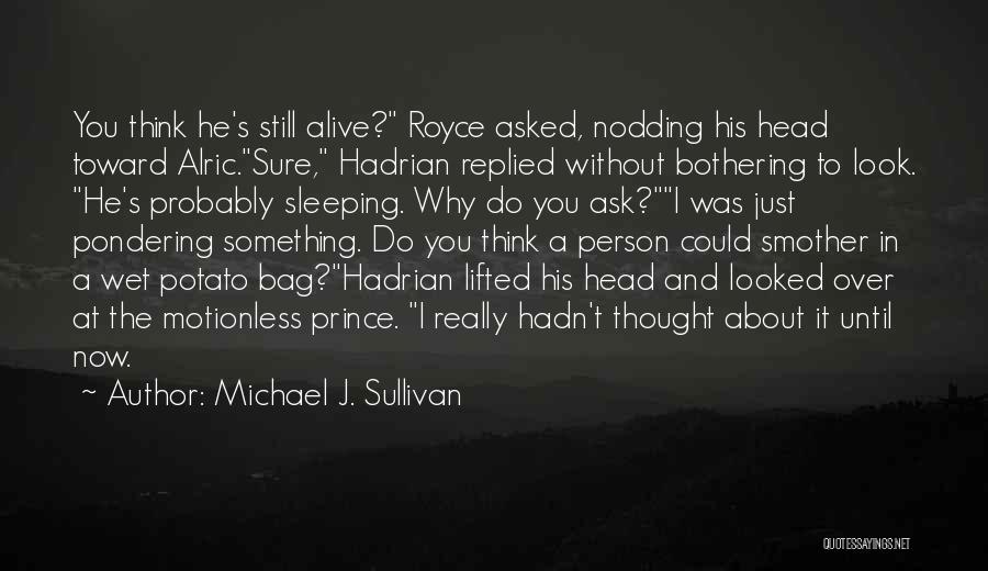 Mr Potato Head Best Quotes By Michael J. Sullivan