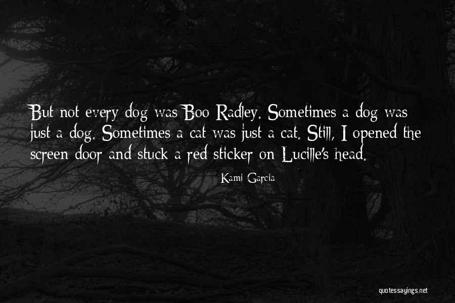 Mr Radley Quotes By Kami Garcia Mr Radley Quotes By Kami Garcia