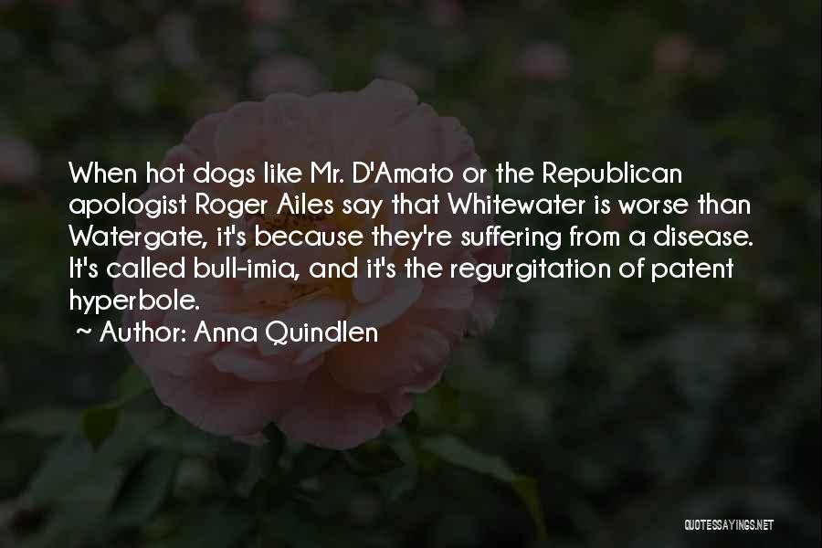 Mr Roger Quotes By Anna Quindlen