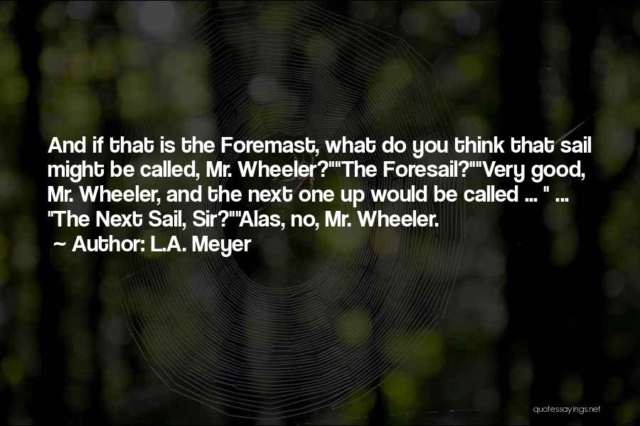 Mr Roger Quotes By L.A. Meyer