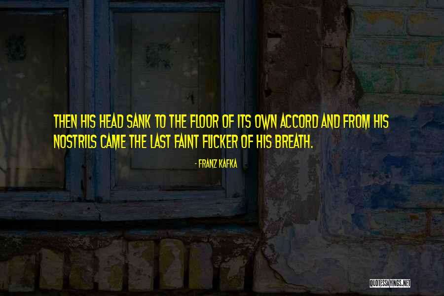 Mr Samsa Quotes By Franz Kafka Mr Samsa Quotes By Franz Kafka