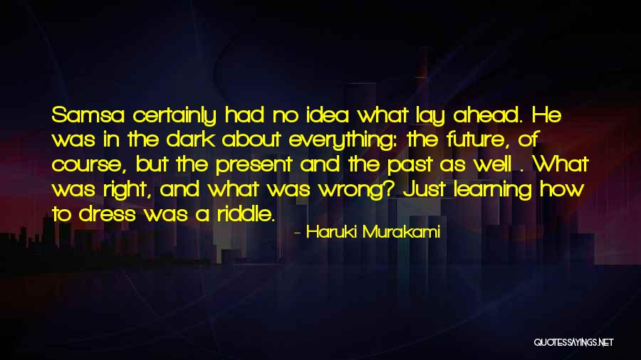 Mr Samsa Quotes By Haruki Murakami Mr Samsa Quotes By Haruki Murakami