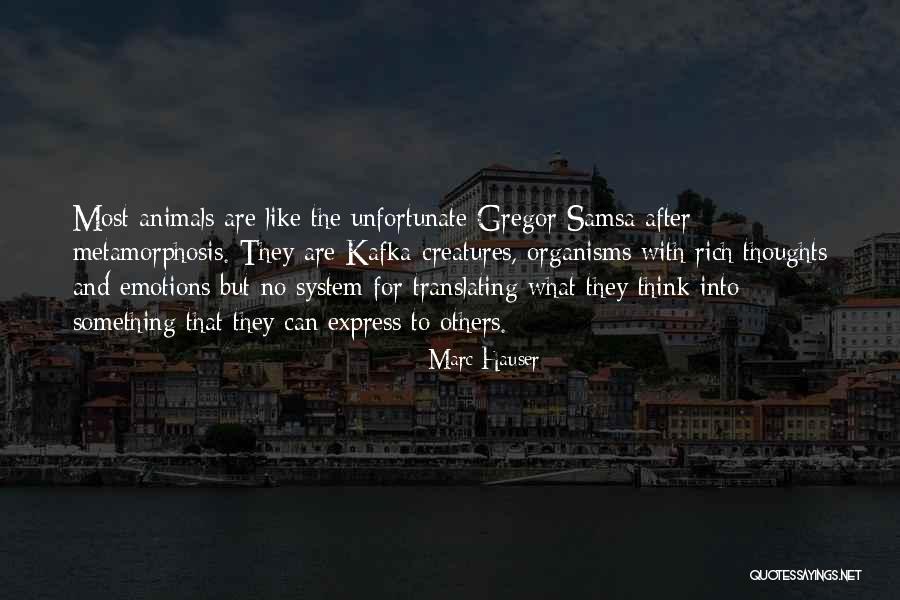 Mr Samsa Quotes By Marc Hauser Mr Samsa Quotes By Marc Hauser