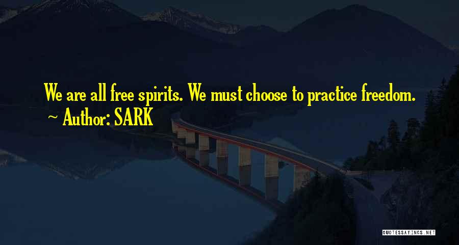 Mr Sark Quotes By SARK