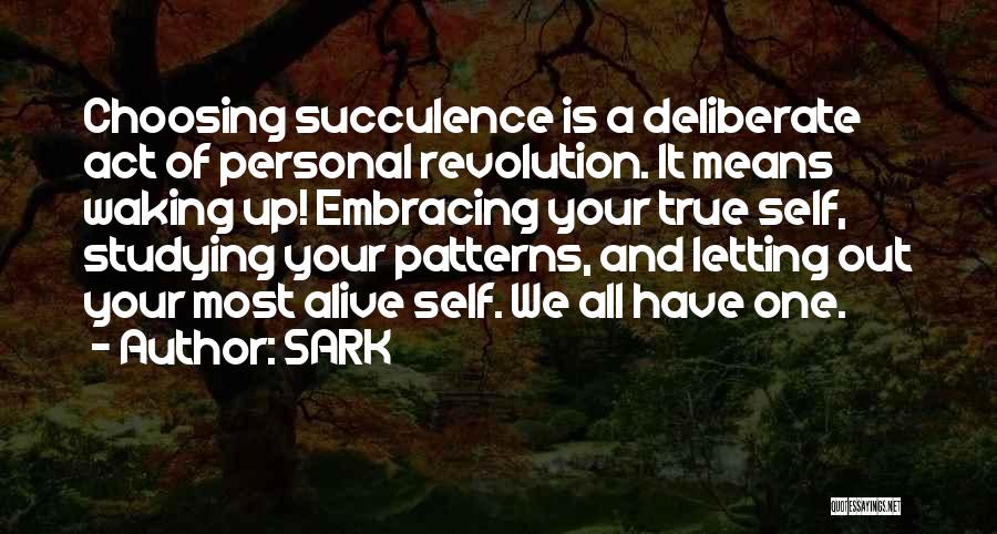 Mr Sark Quotes By SARK